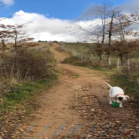 シャレー La Dolina Eco-chic デュルビュイ