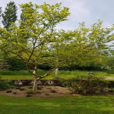 La Dolina Eco-chic Horská chata Durbuy