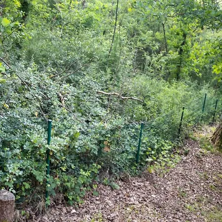 Horská chata La Dolina Eco-chic Durbuy