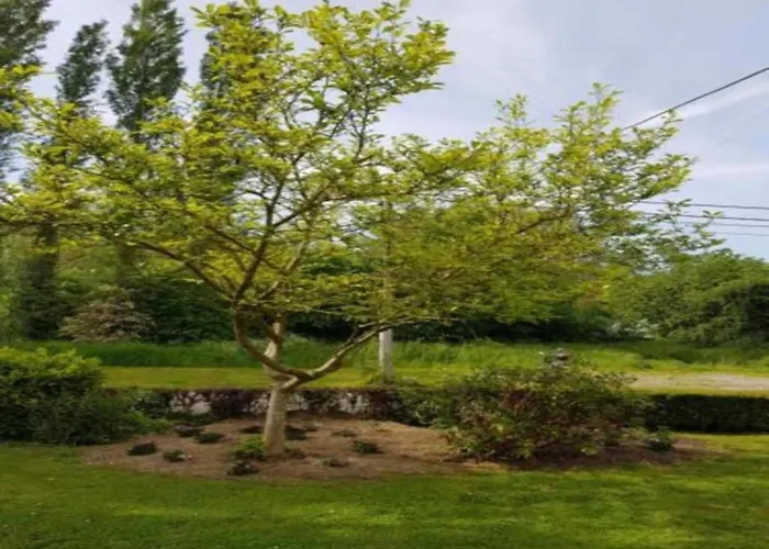 La Dolina Eco-chic Chalet Durbuy