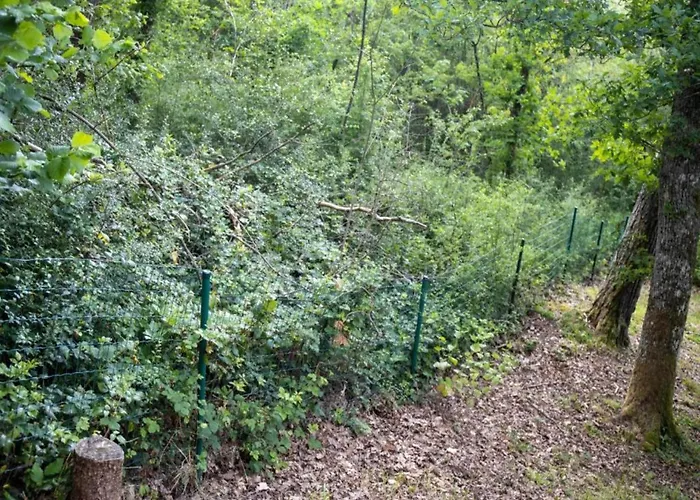 Chalet La Dolina Eco-chic Durbuy